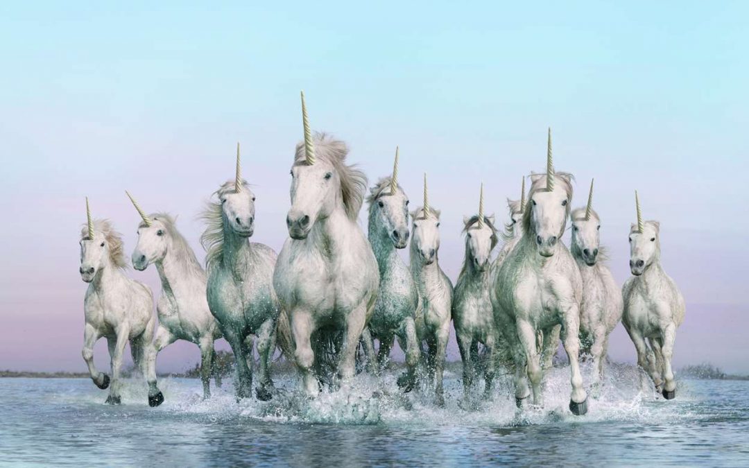 Unicorn Horn – First Utility Advert